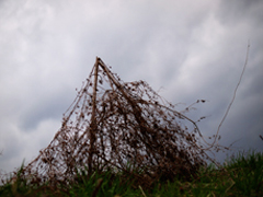 オーディナリーミラクルshihiro