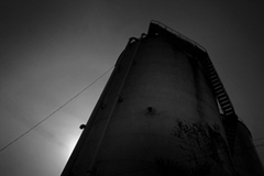 オルタナティブ宮崎 shihiro