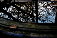 オルタナティブ葛城 禎之