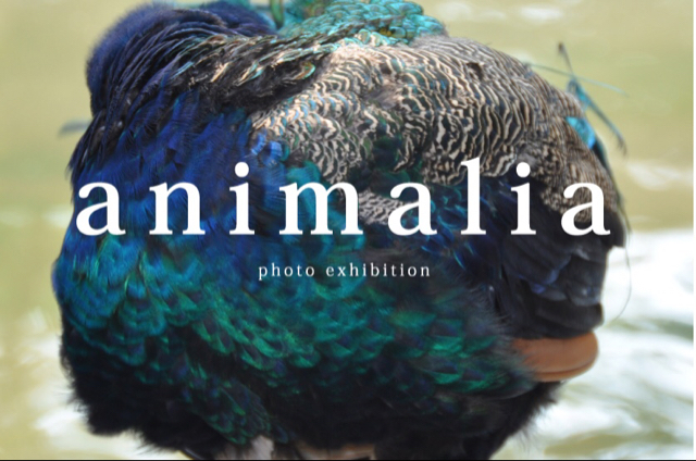 水野一  、  Superbie  2人展 