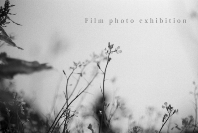 「film」写真企画展 