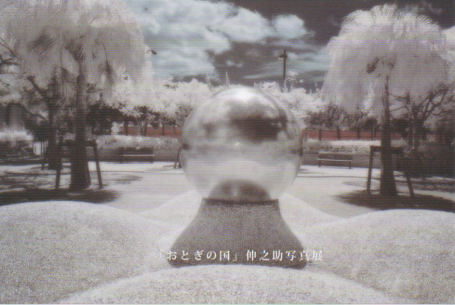 shoot before they gone<