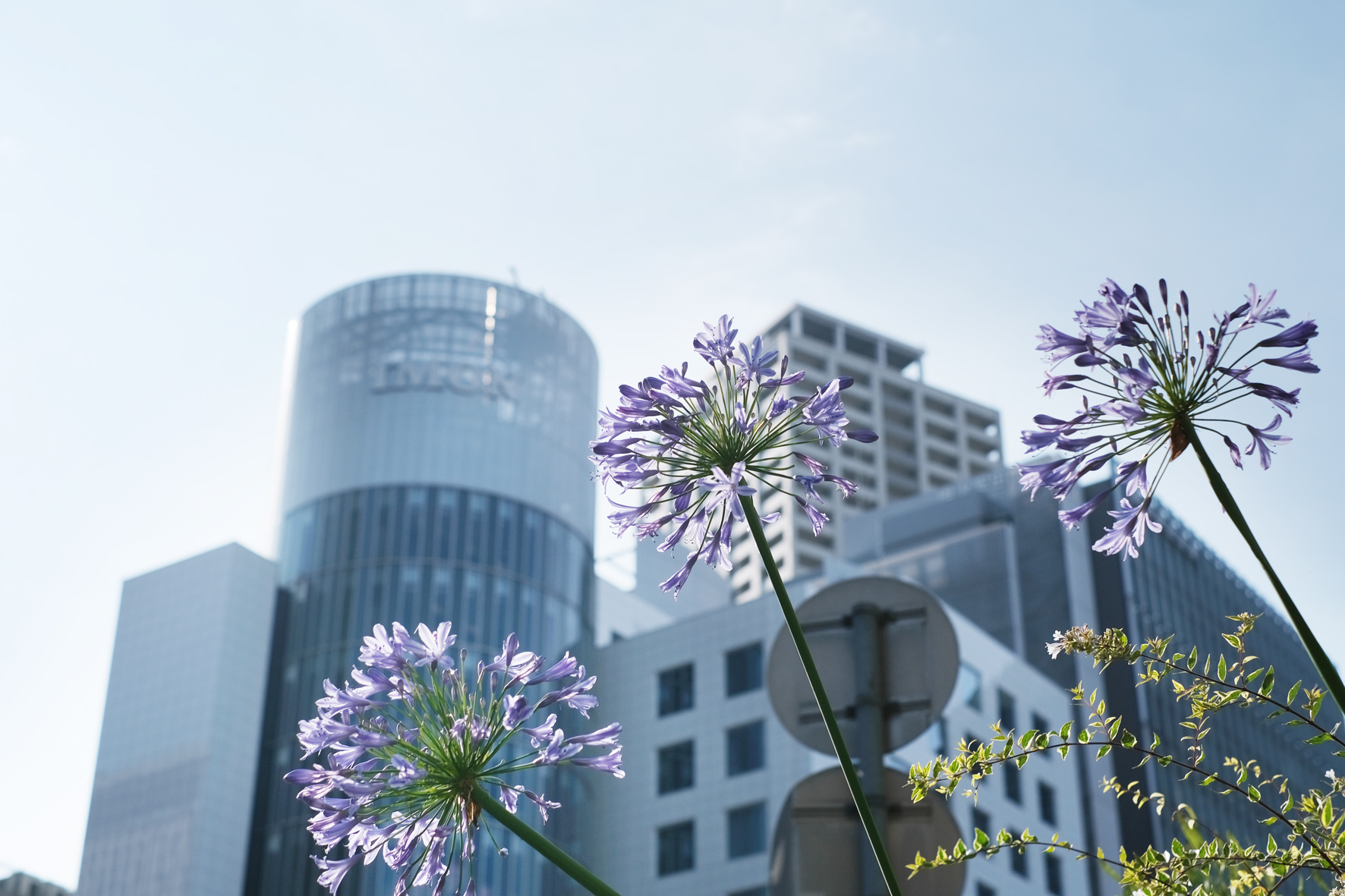 Each of the photo exhibition