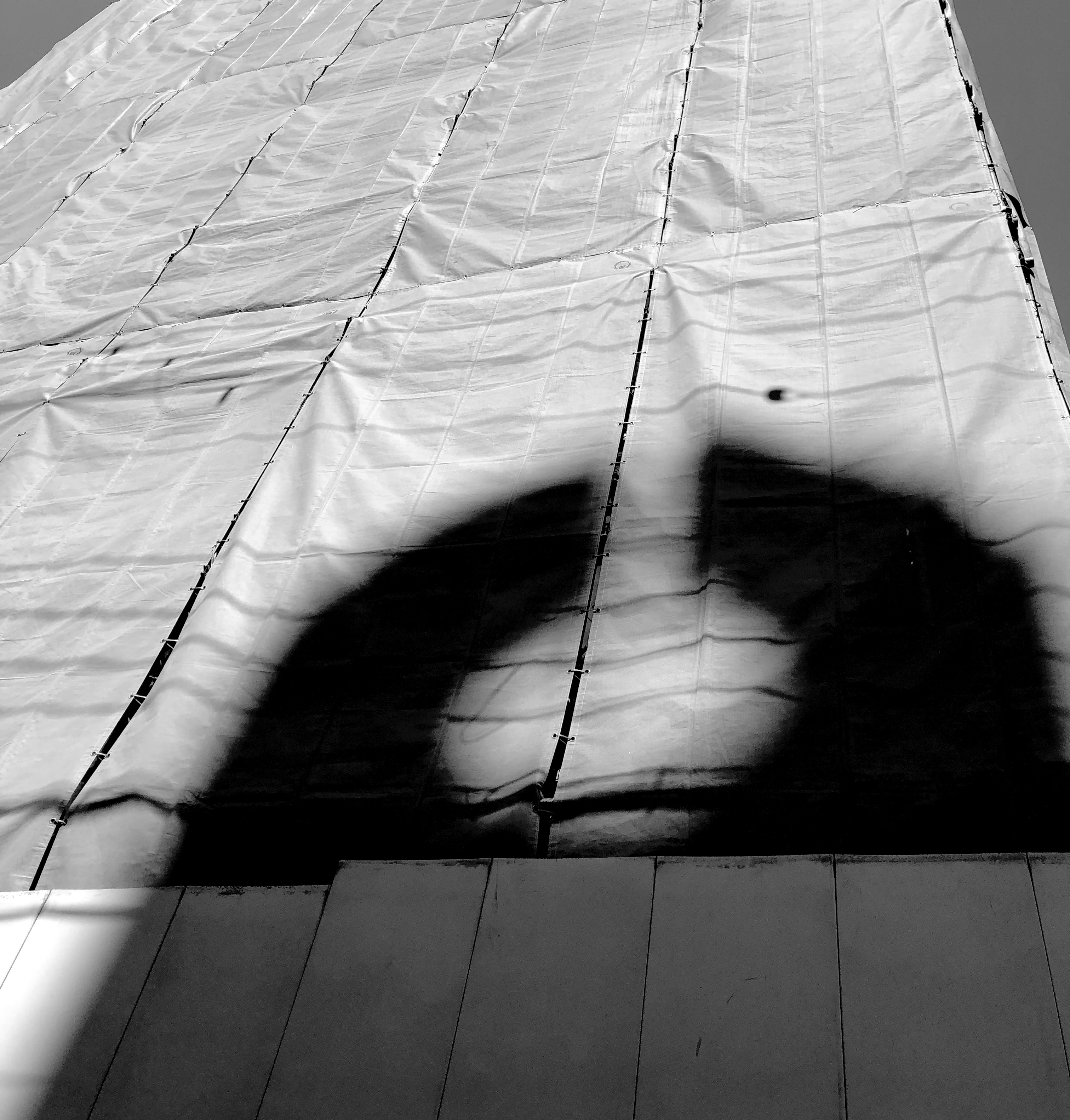 Each of the Photo Exhibition